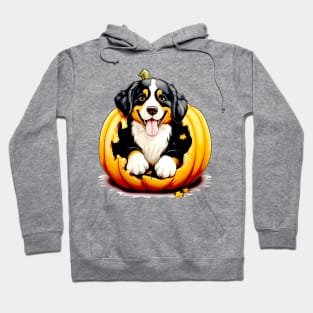 Bernese Mountain Dog inside Pumpkin #2 Hoodie